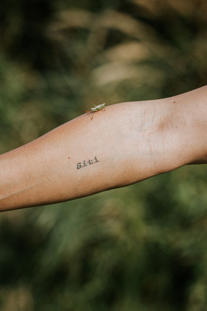 Close-up van een arm met tattoo en een sprinkhaan, symbool voor natuurlijke verbinding, zachtheid en bewust leven – sfeerbeeld van Ancestral Earth.